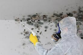 Trusted Reynoldsburg, OH Mold Prevention & Removal  Experts